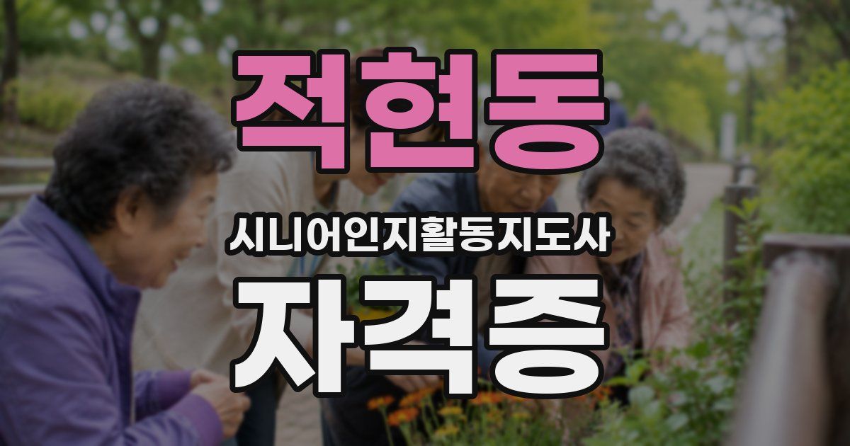 적현동 시니어인지활동지도사 자격증