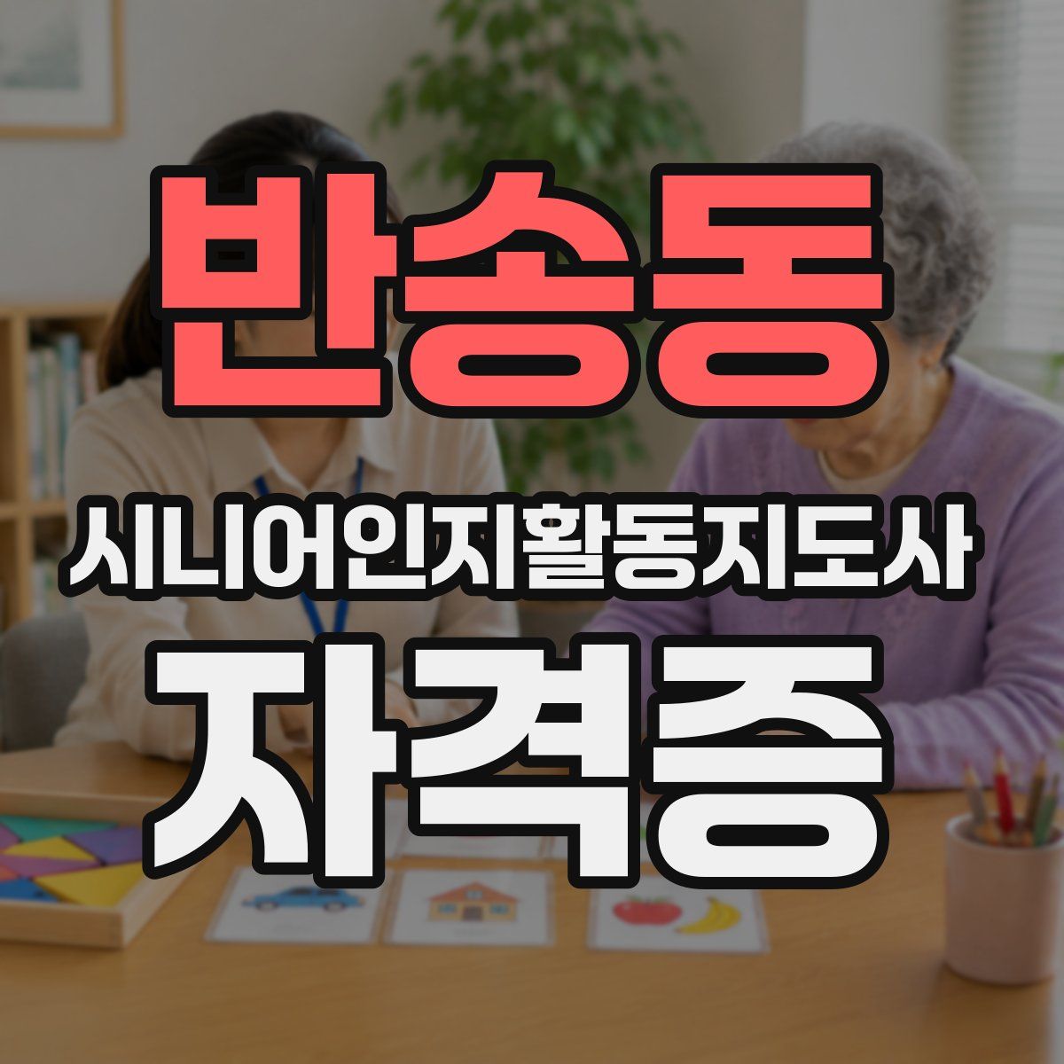반송동 시니어인지활동지도사 자격증
