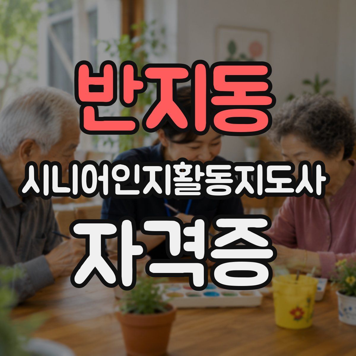 반지동 시니어인지활동지도사 자격증