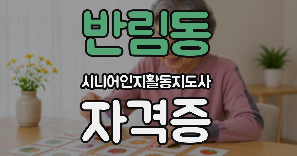 반림동 시니어인지활동지도사 자격증