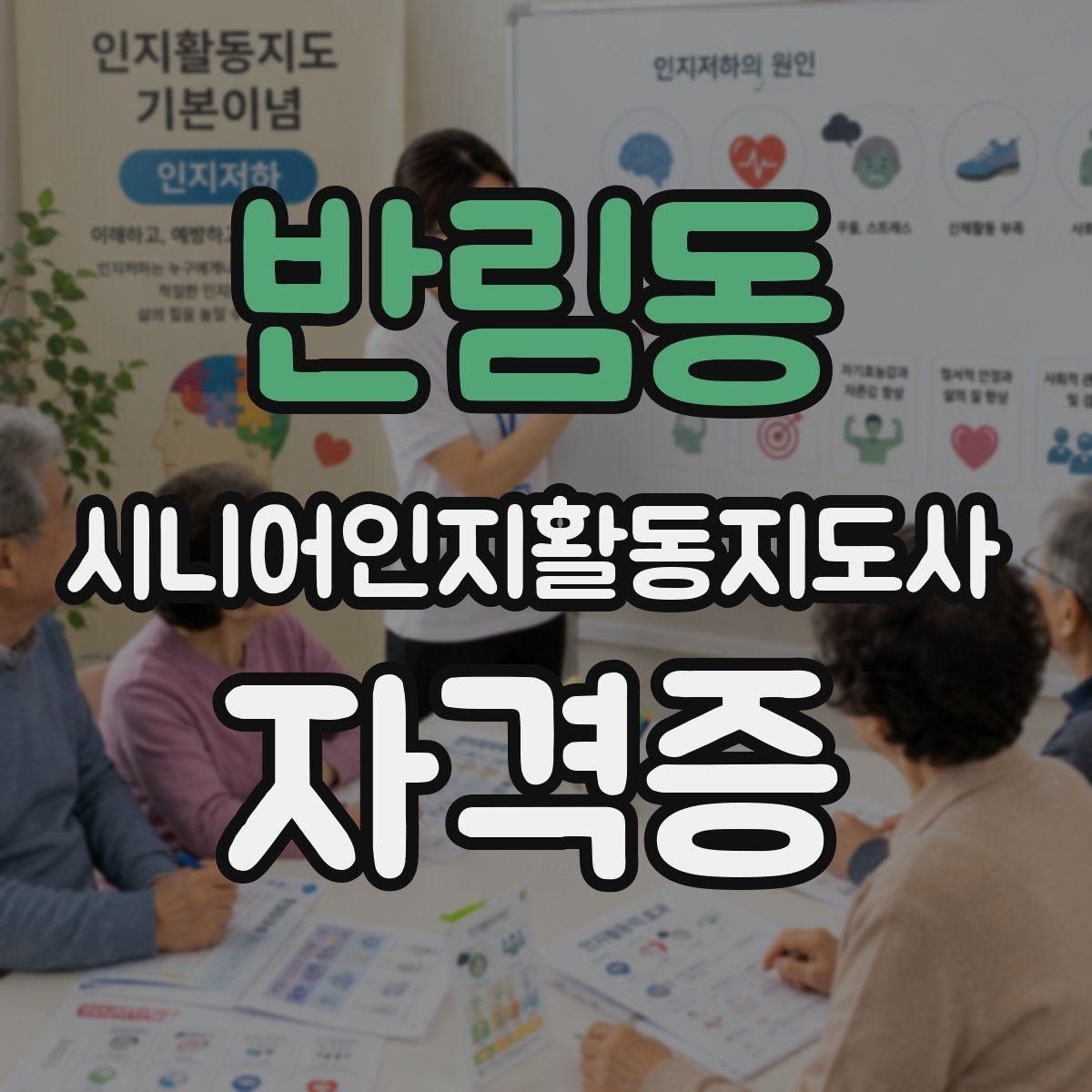 반림동 시니어인지활동지도사 자격증