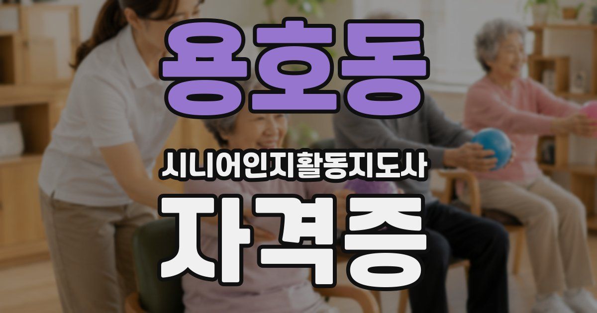 용호동 시니어인지활동지도사 자격증