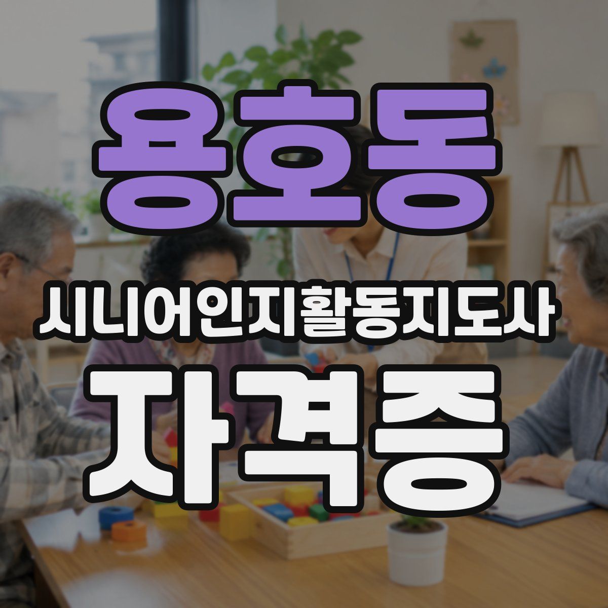 용호동 시니어인지활동지도사 자격증