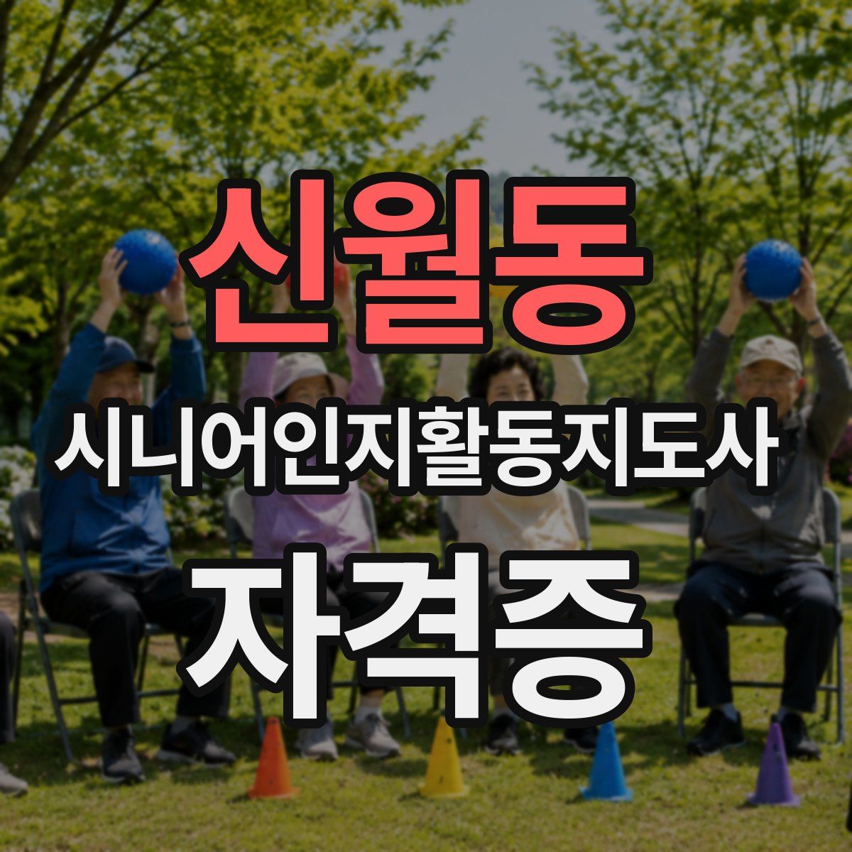 신월동 시니어인지활동지도사 자격증