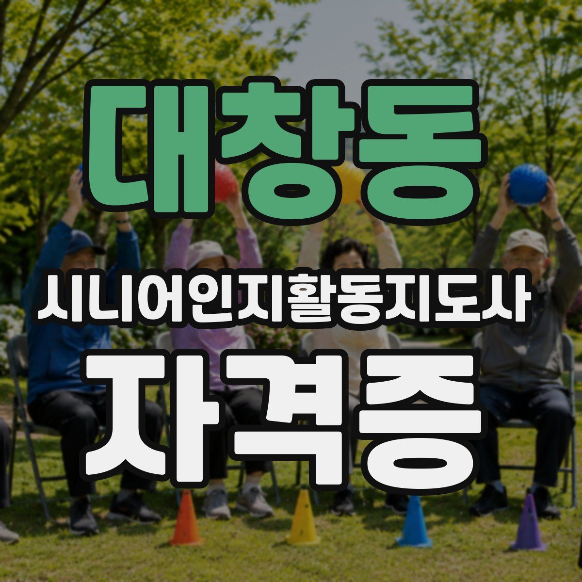 대창동 시니어인지활동지도사 자격증