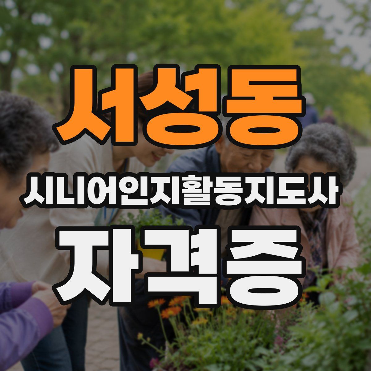 서성동 시니어인지활동지도사 자격증