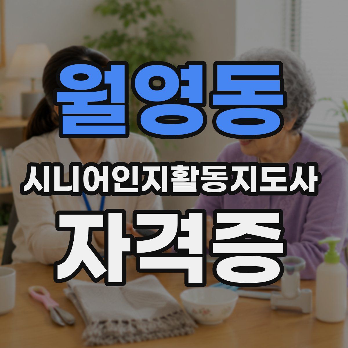 월영동 시니어인지활동지도사 자격증
