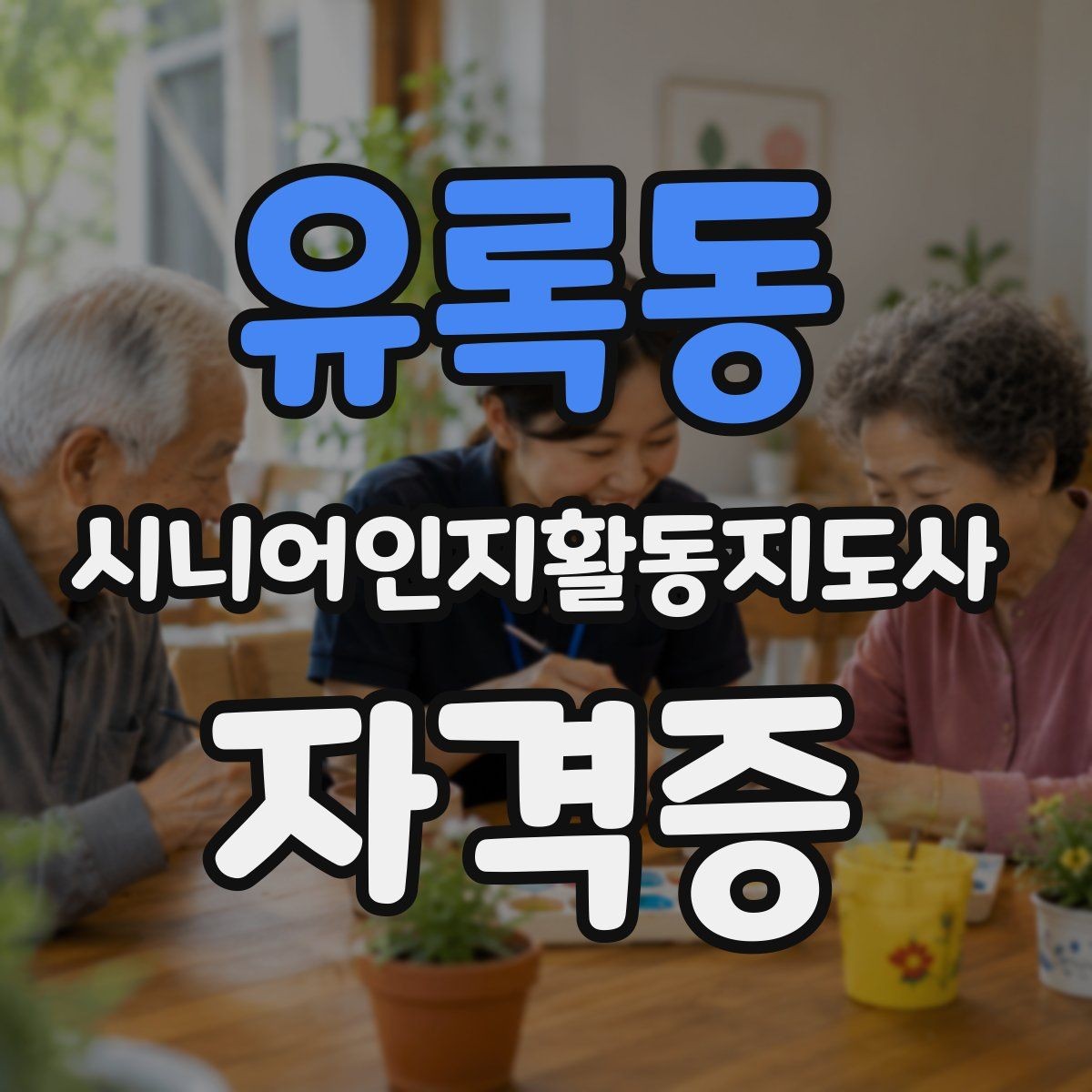 유록동 시니어인지활동지도사 자격증 학습 자료 고르는 방법