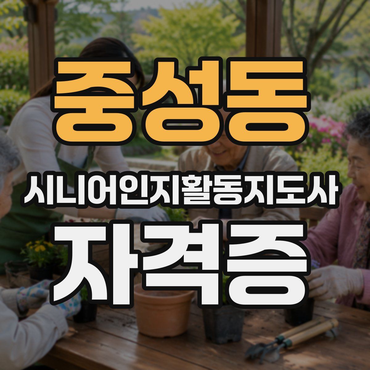 중성동 시니어인지활동지도사 자격증