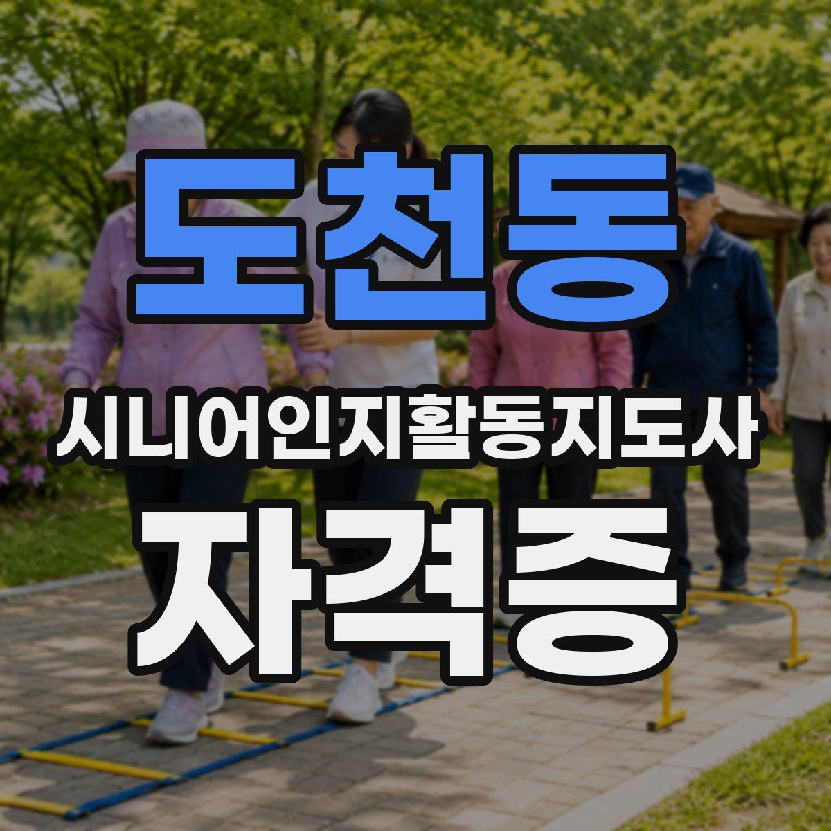 도천동 시니어인지활동지도사 자격증