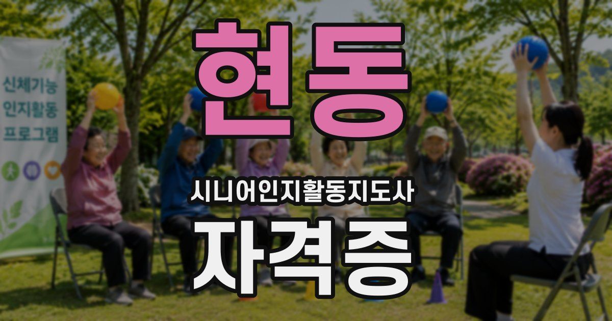 현동 시니어인지활동지도사 자격증