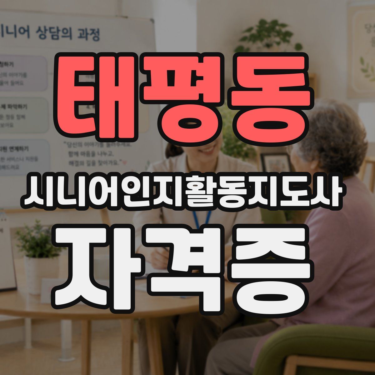 태평동 시니어인지활동지도사 자격증