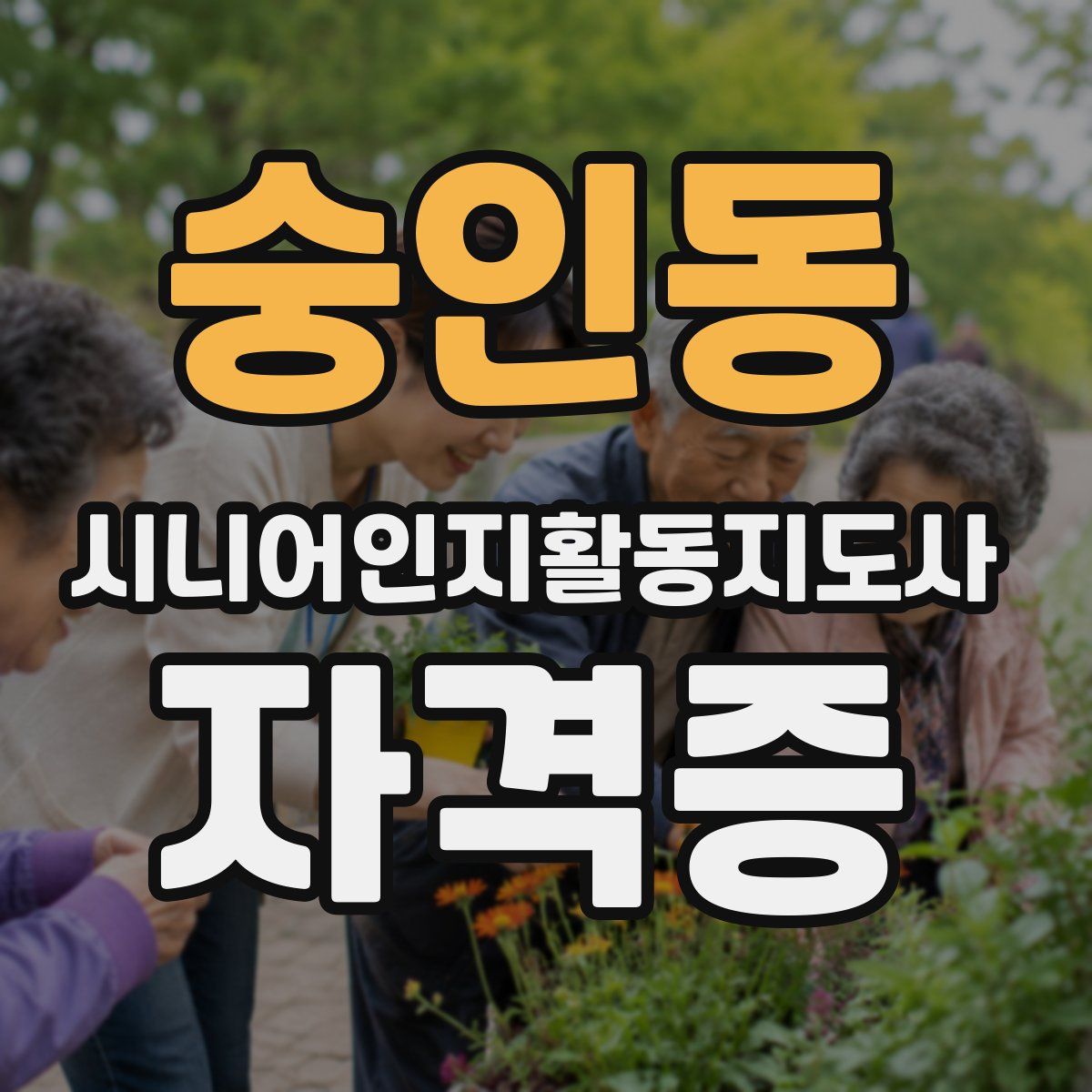 숭인동 시니어인지활동지도사 자격증