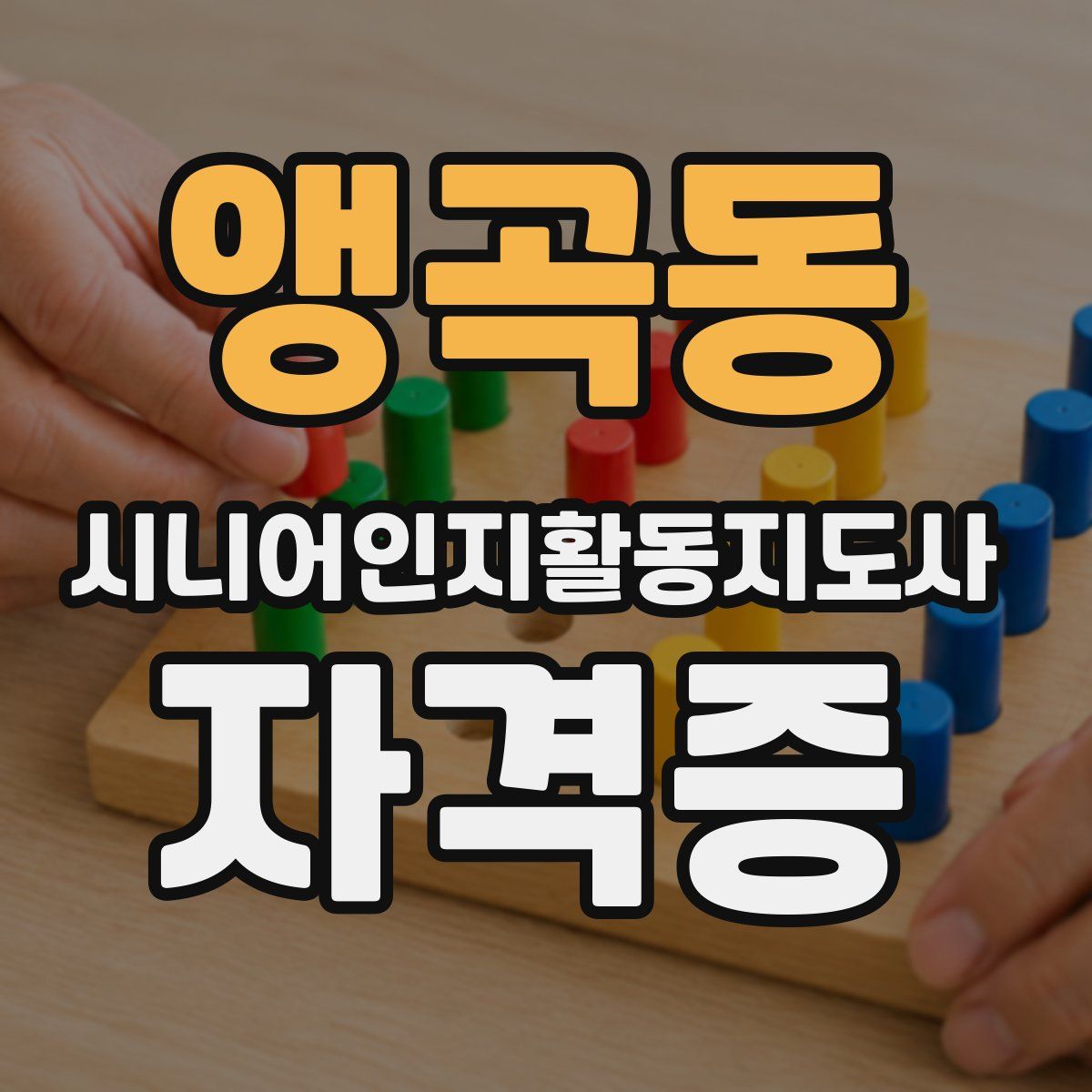 앵곡동 시니어인지활동지도사 자격증