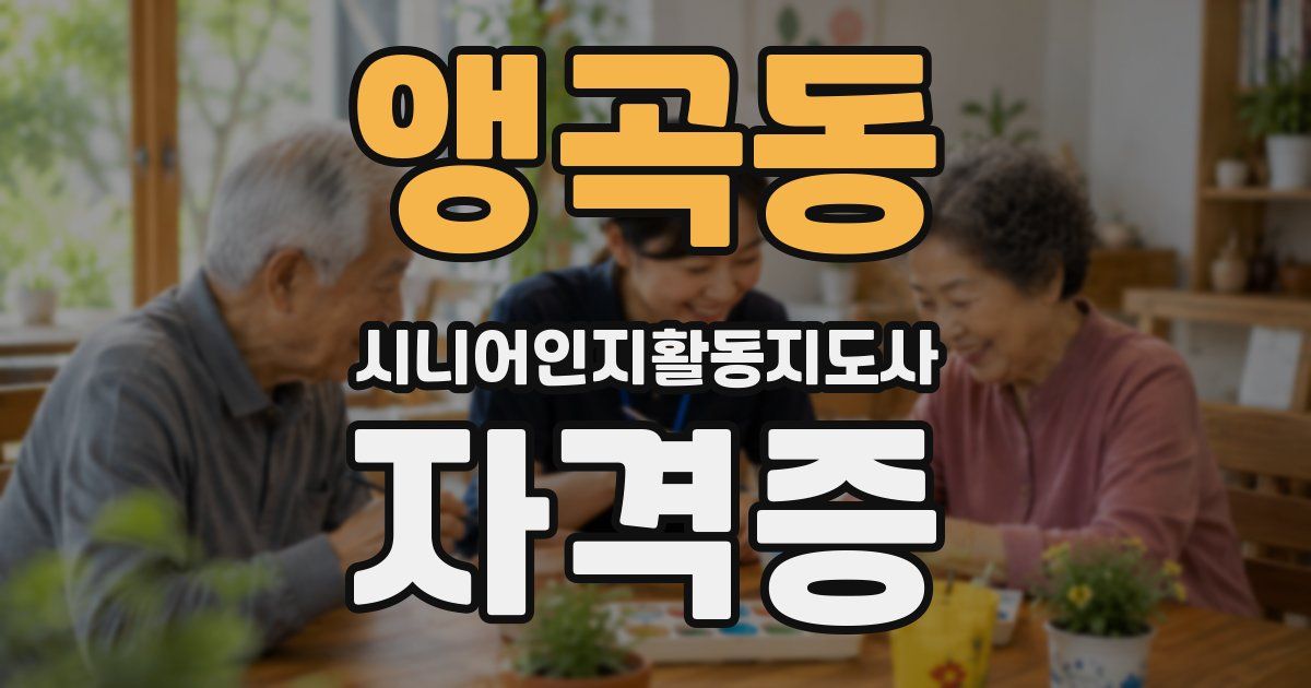 앵곡동 시니어인지활동지도사 자격증