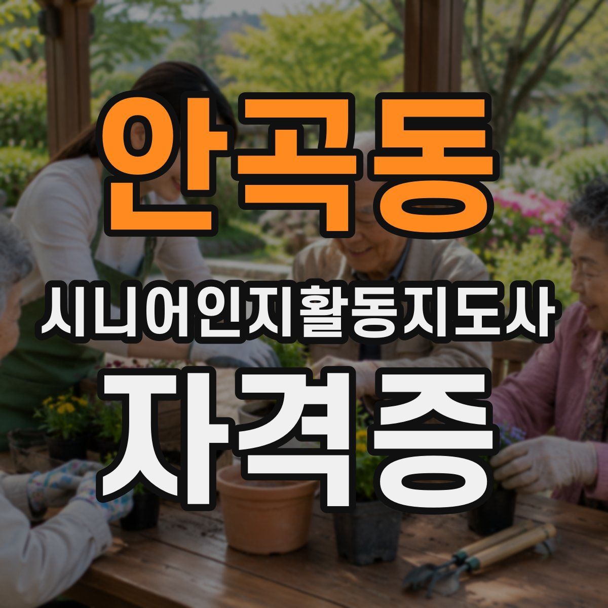 안곡동 시니어인지활동지도사 자격증