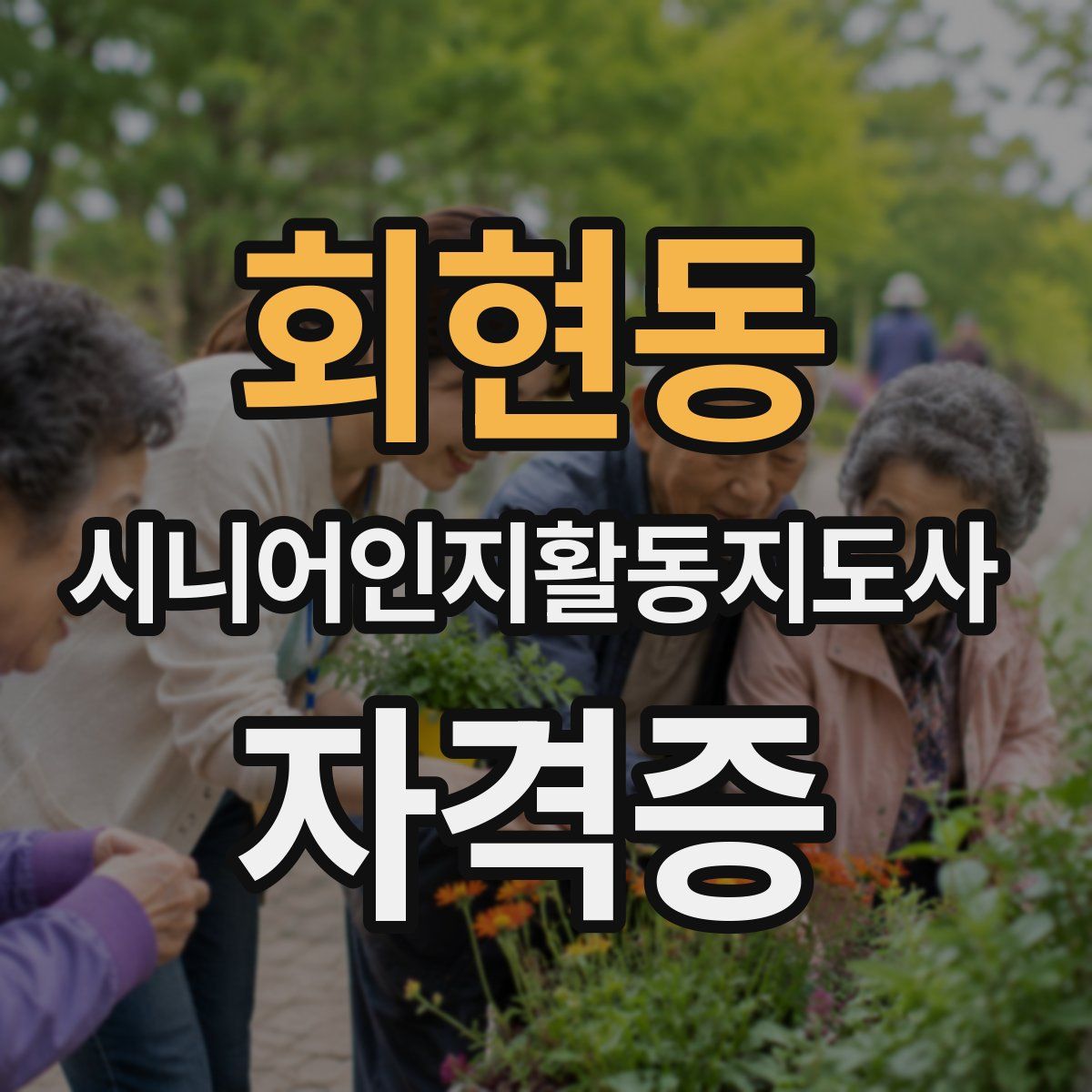 회현동 시니어인지활동지도사 자격증
