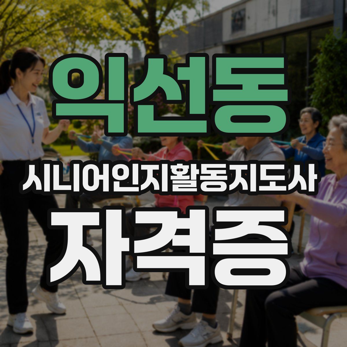 익선동 시니어인지활동지도사 자격증