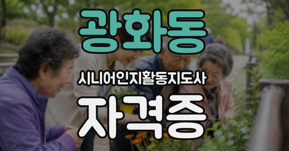 광화동 시니어인지활동지도사 자격증