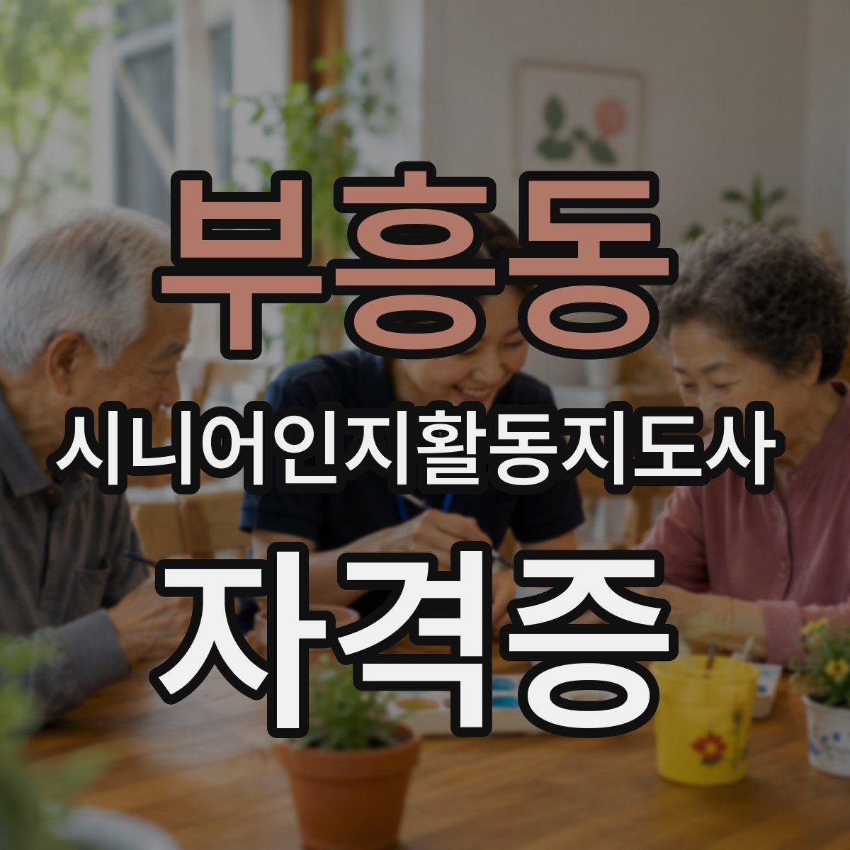 부흥동 시니어인지활동지도사 자격증 활용 사례로 보는 공부 방향