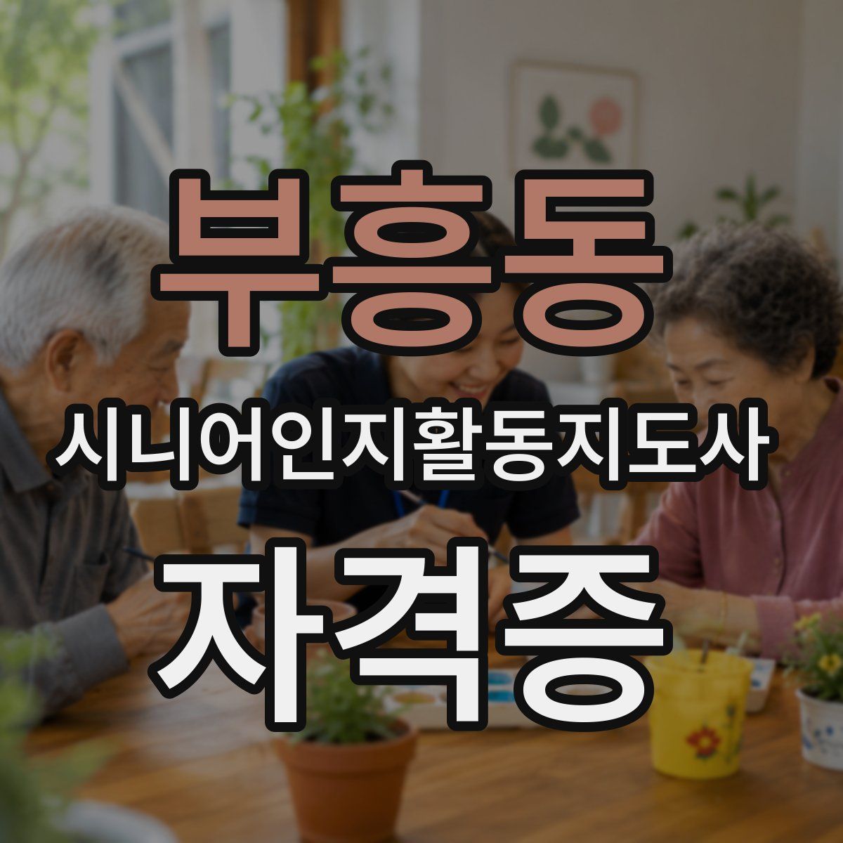 부흥동 시니어인지활동지도사 자격증