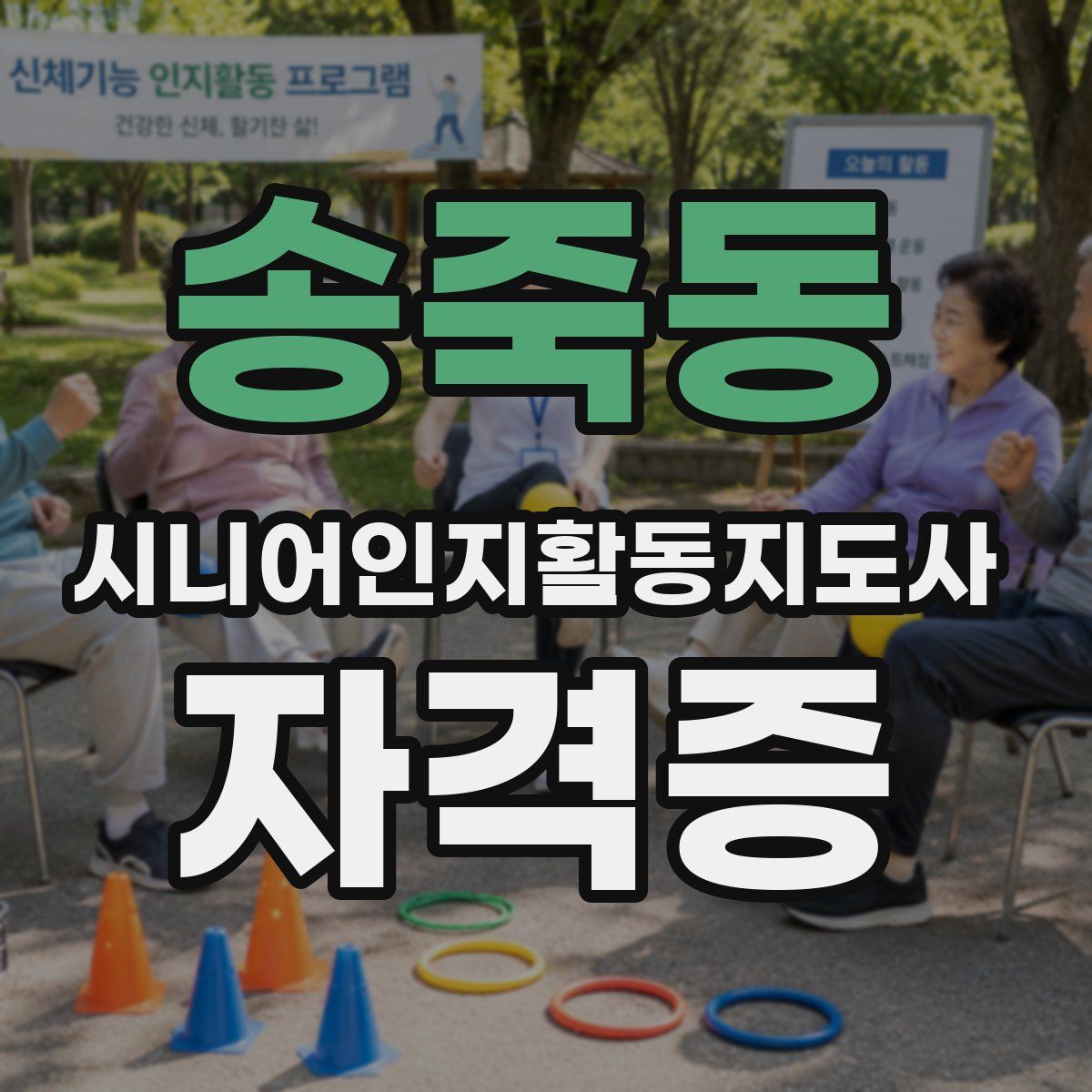 송죽동 시니어인지활동지도사 자격증