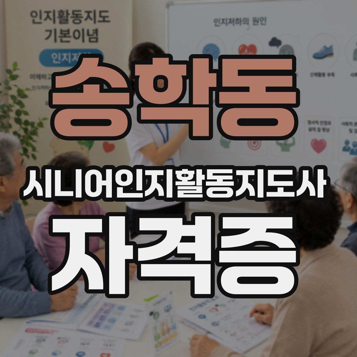 송학동 시니어인지활동지도사 자격증