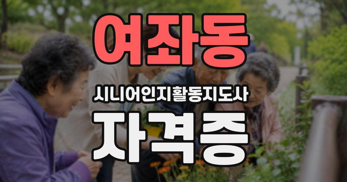 여좌동 시니어인지활동지도사 자격증