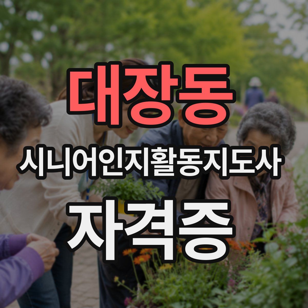 대장동 시니어인지활동지도사 자격증