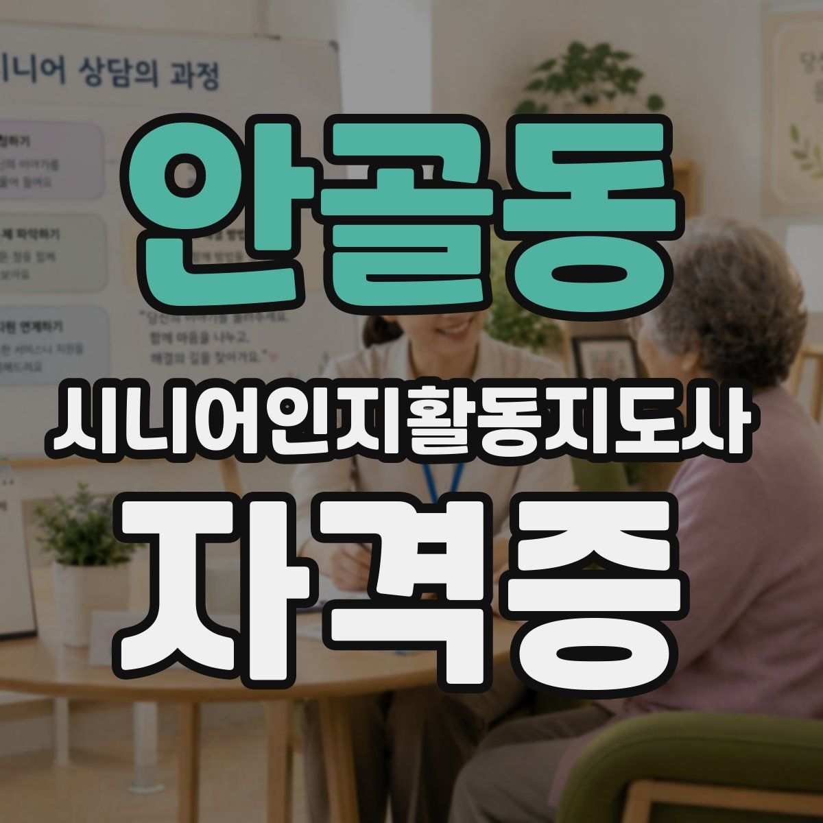 안골동 시니어인지활동지도사 자격증