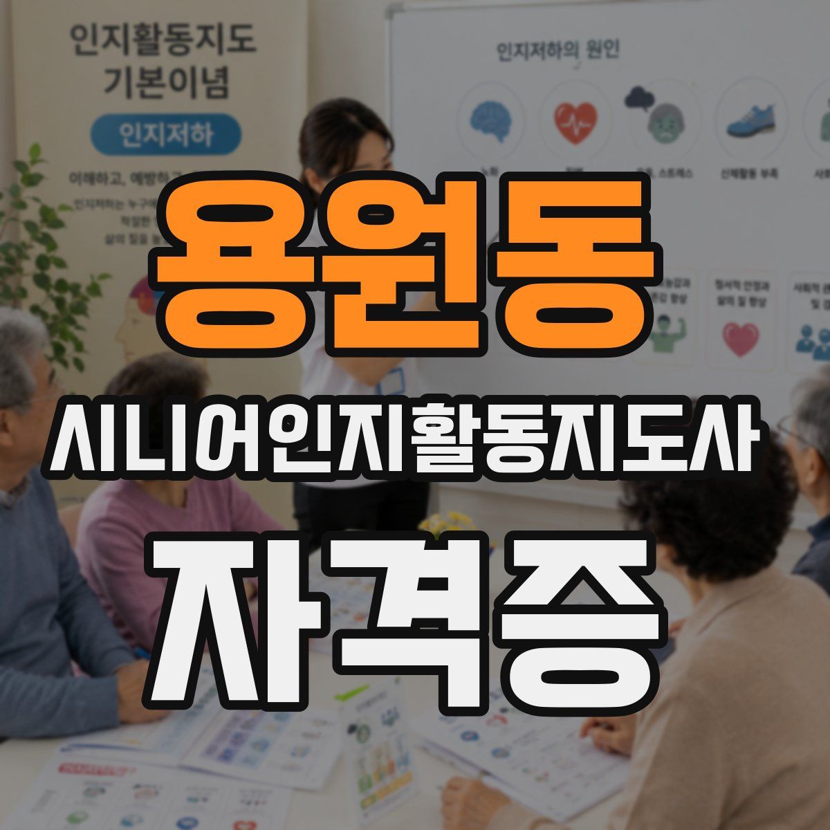 용원동 시니어인지활동지도사 자격증