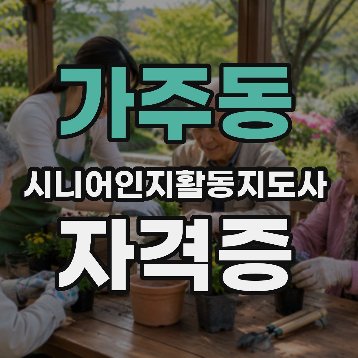 가주동 시니어인지활동지도사 자격증