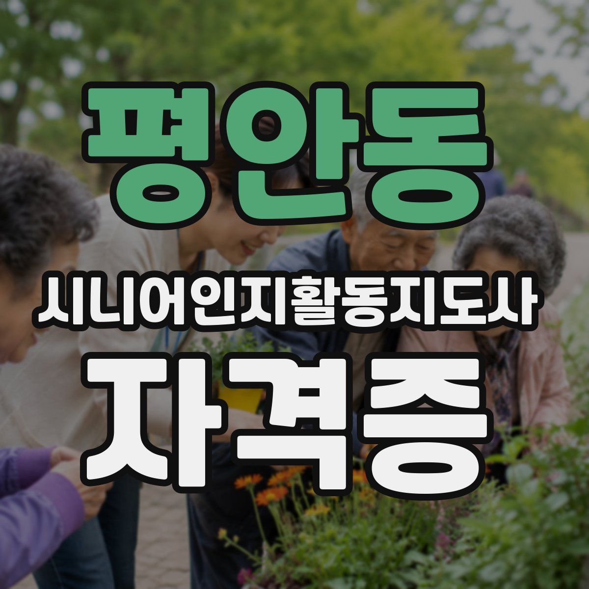 평안동 시니어인지활동지도사 자격증