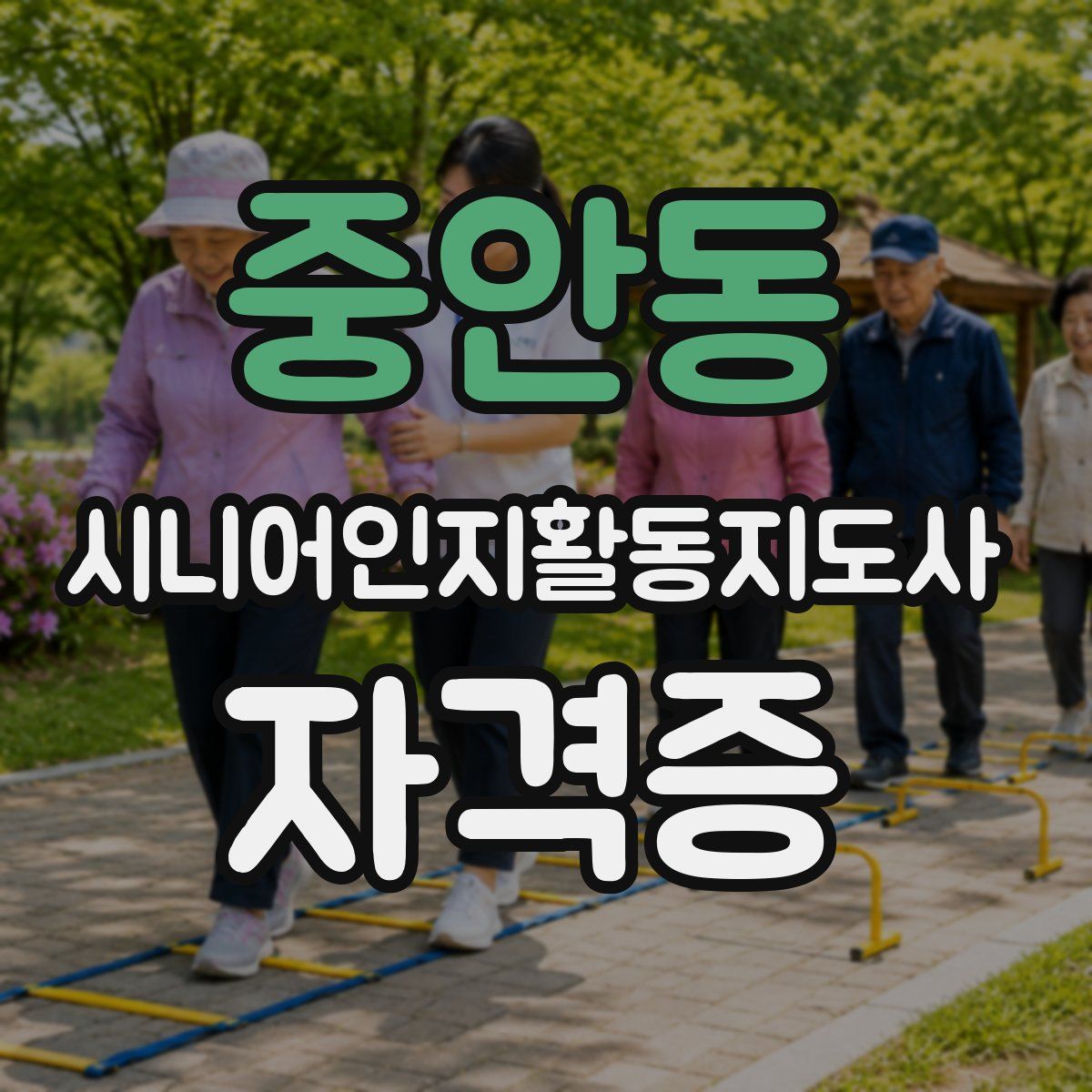중안동 시니어인지활동지도사 자격증