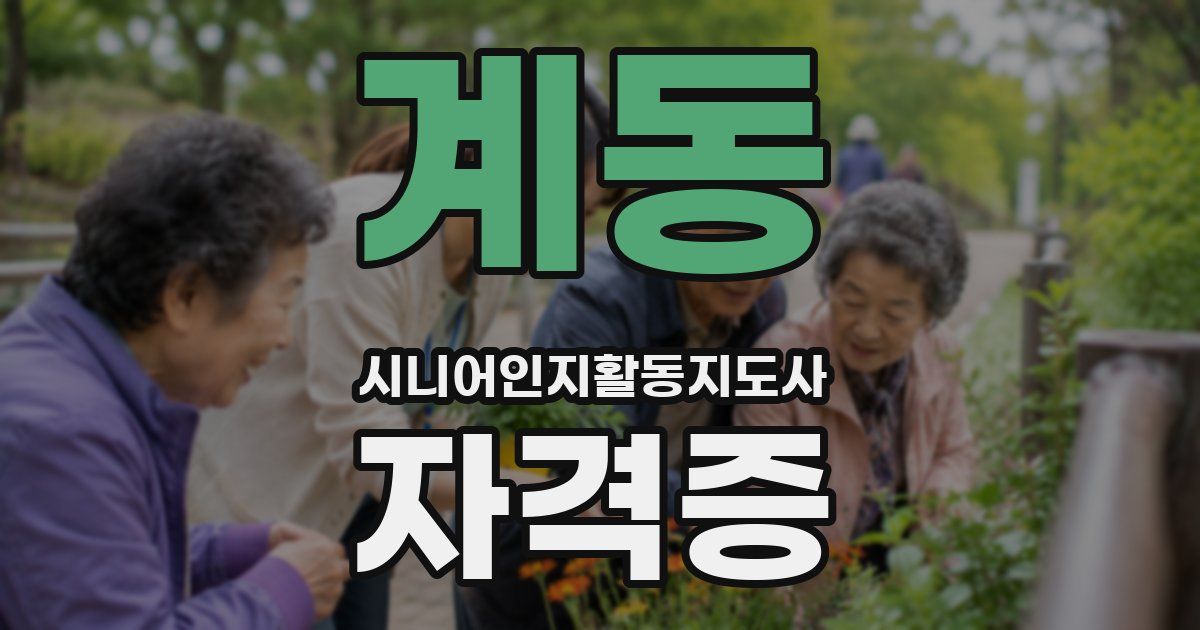 계동 시니어인지활동지도사 자격증