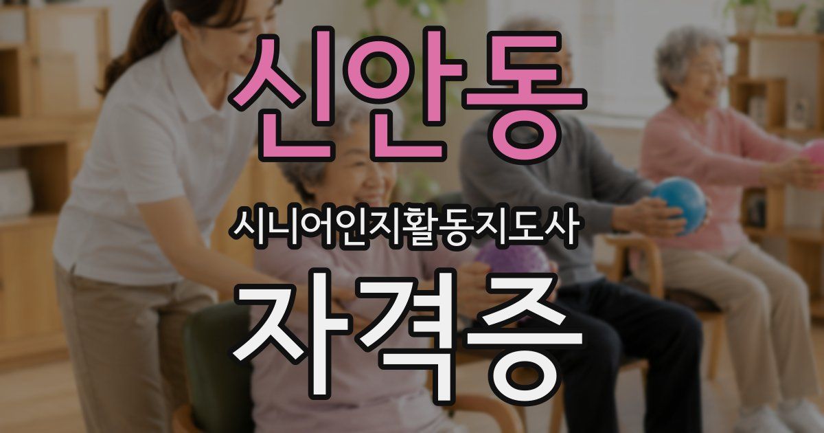 신안동 시니어인지활동지도사 자격증