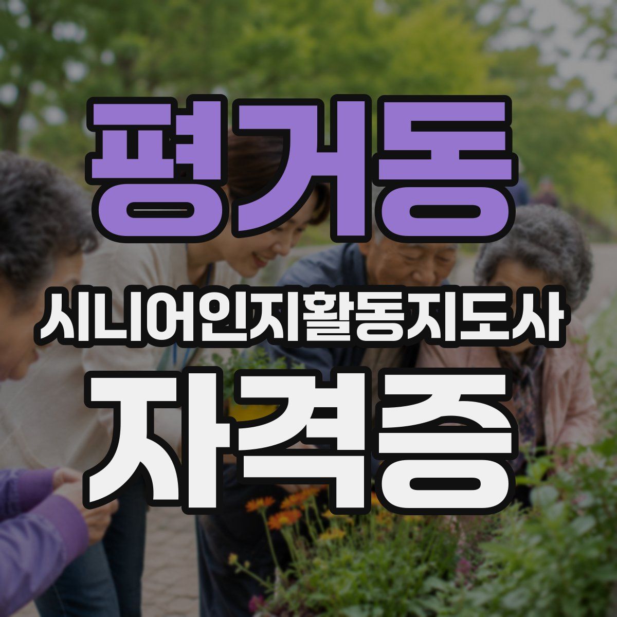 평거동 시니어인지활동지도사 자격증