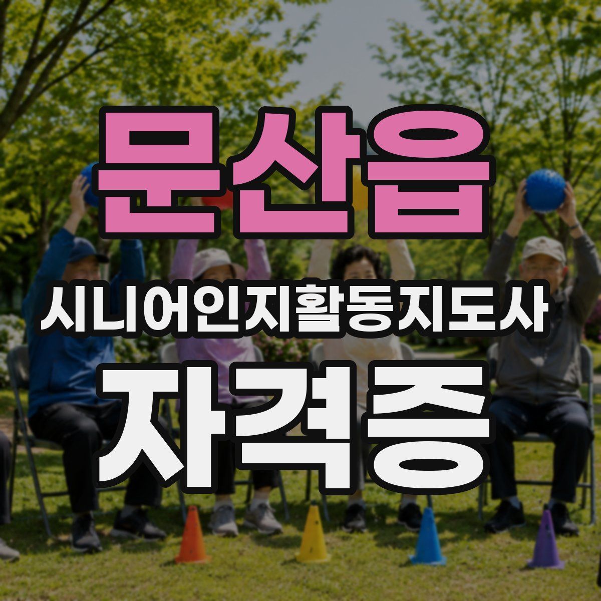 문산읍 시니어인지활동지도사 자격증