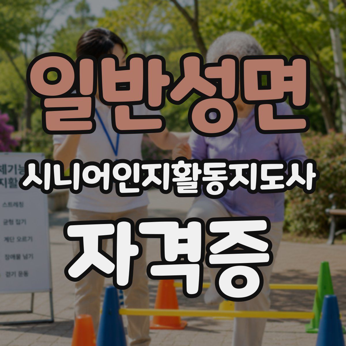 일반성면 시니어인지활동지도사 자격증