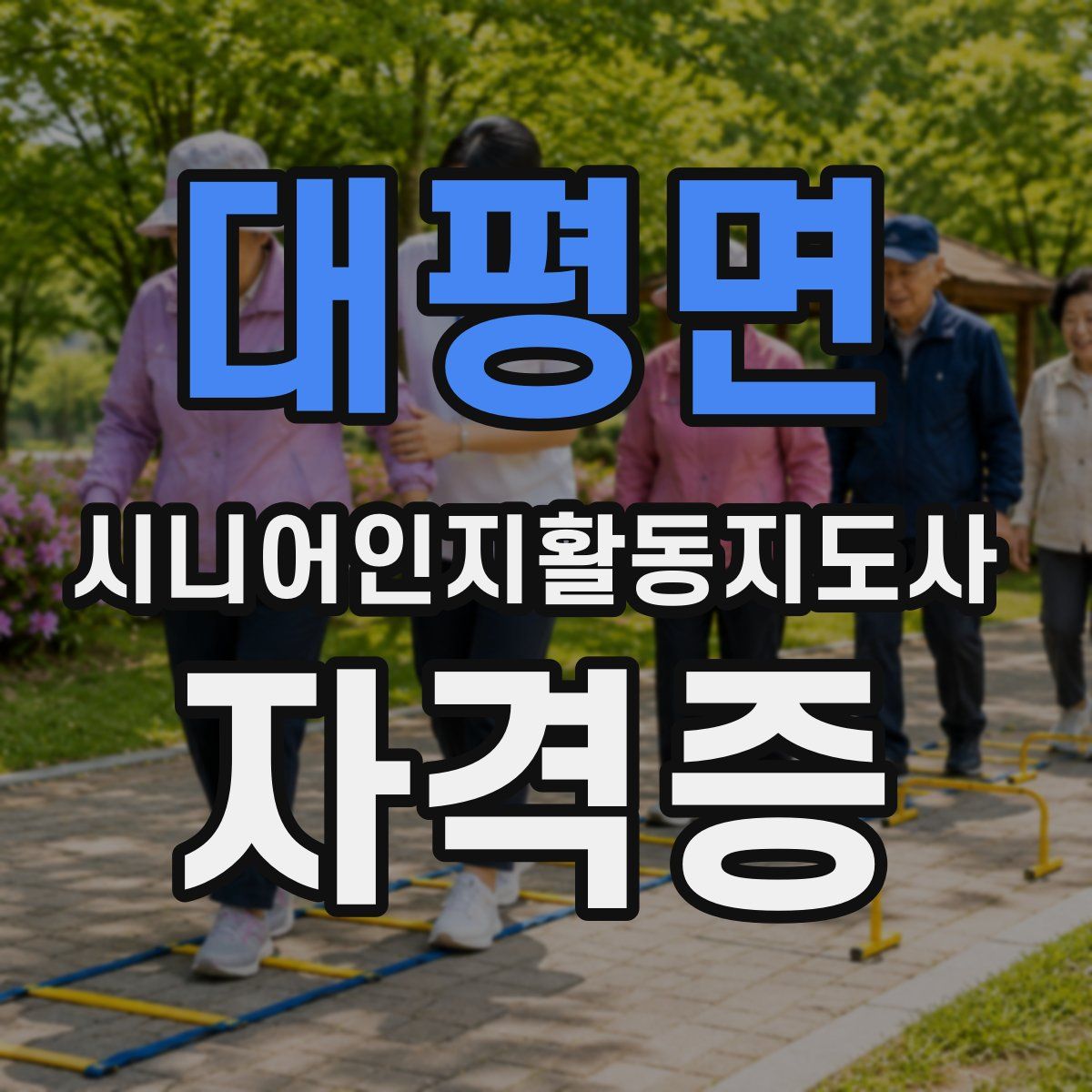 대평면 시니어인지활동지도사 자격증