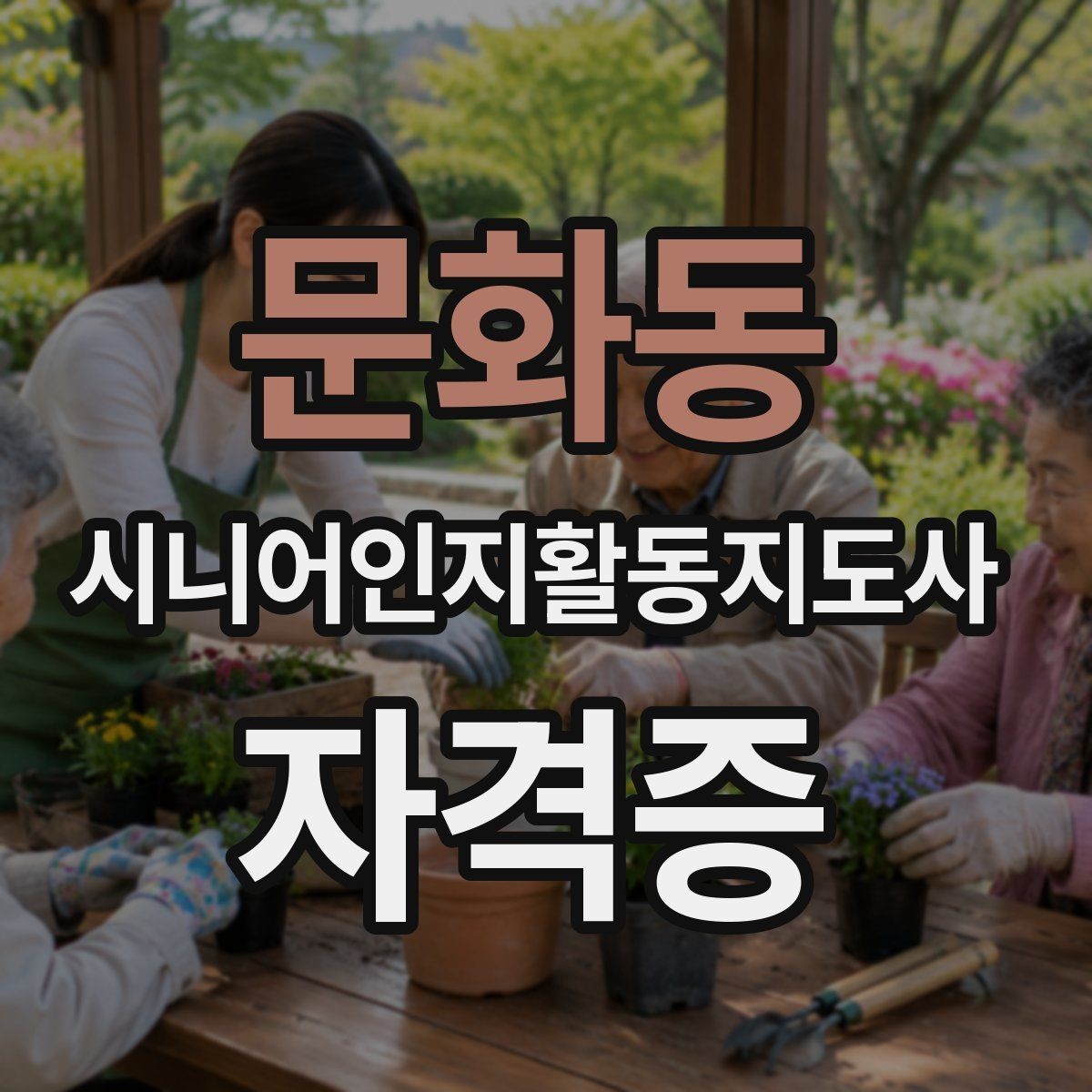 문화동 시니어인지활동지도사 자격증 합격 후 이어지는 진로 방향