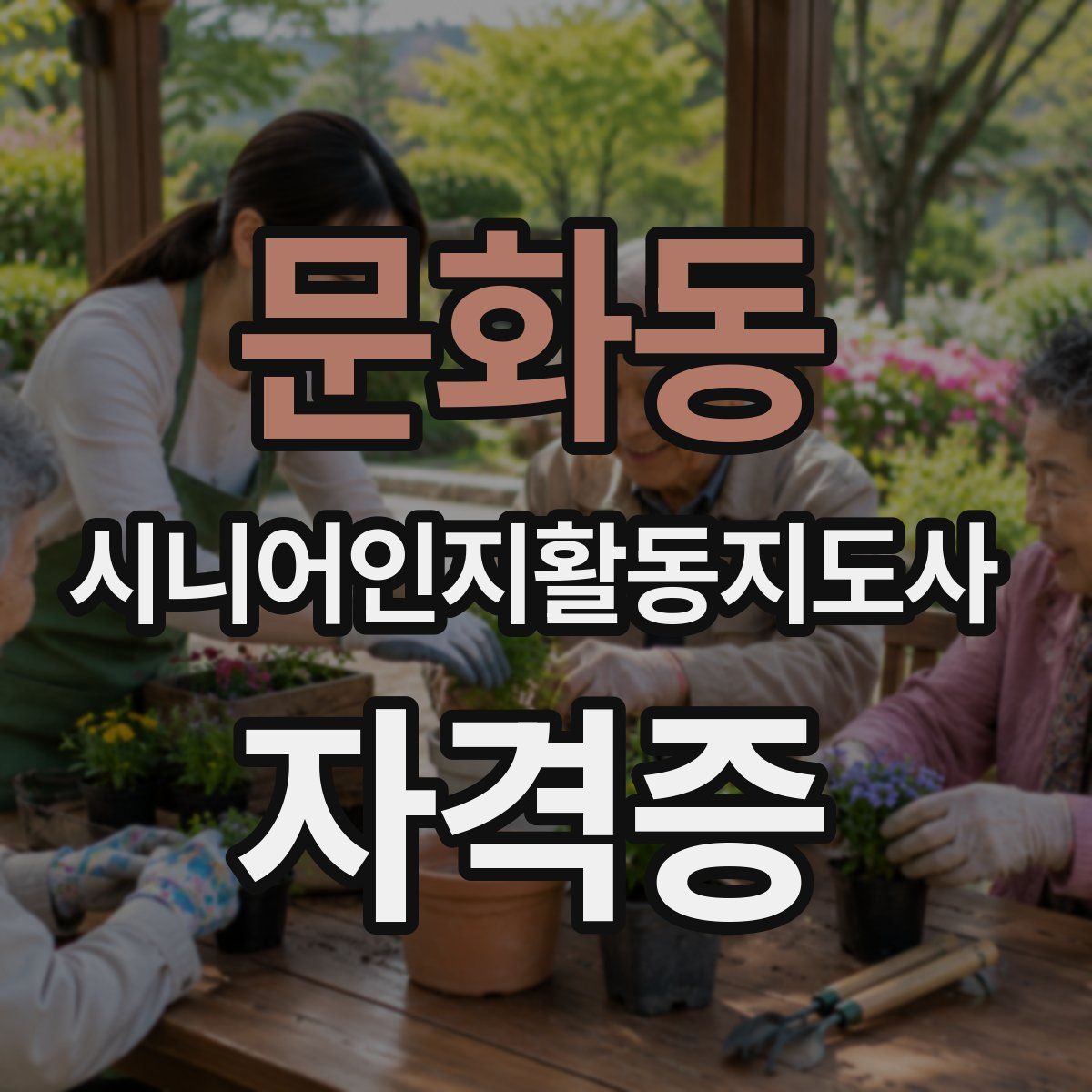 문화동 시니어인지활동지도사 자격증