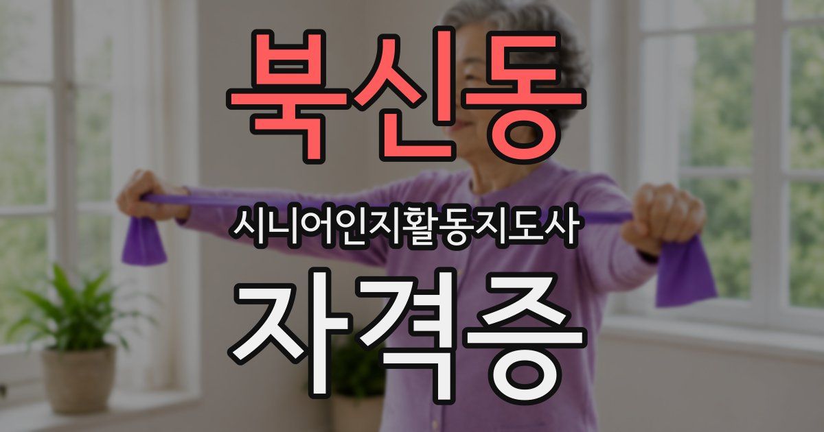 북신동 시니어인지활동지도사 자격증