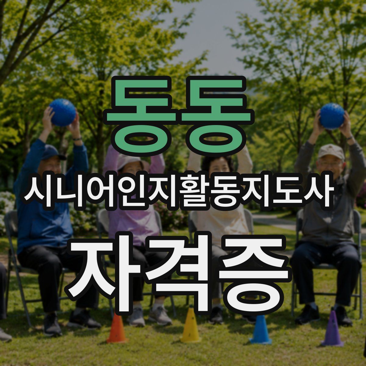 동동 시니어인지활동지도사 자격증