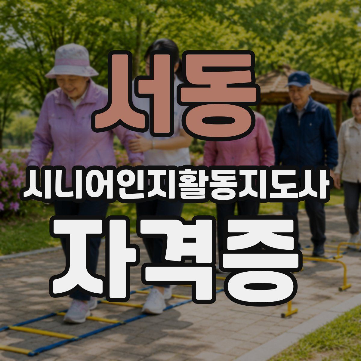 서동 시니어인지활동지도사 자격증