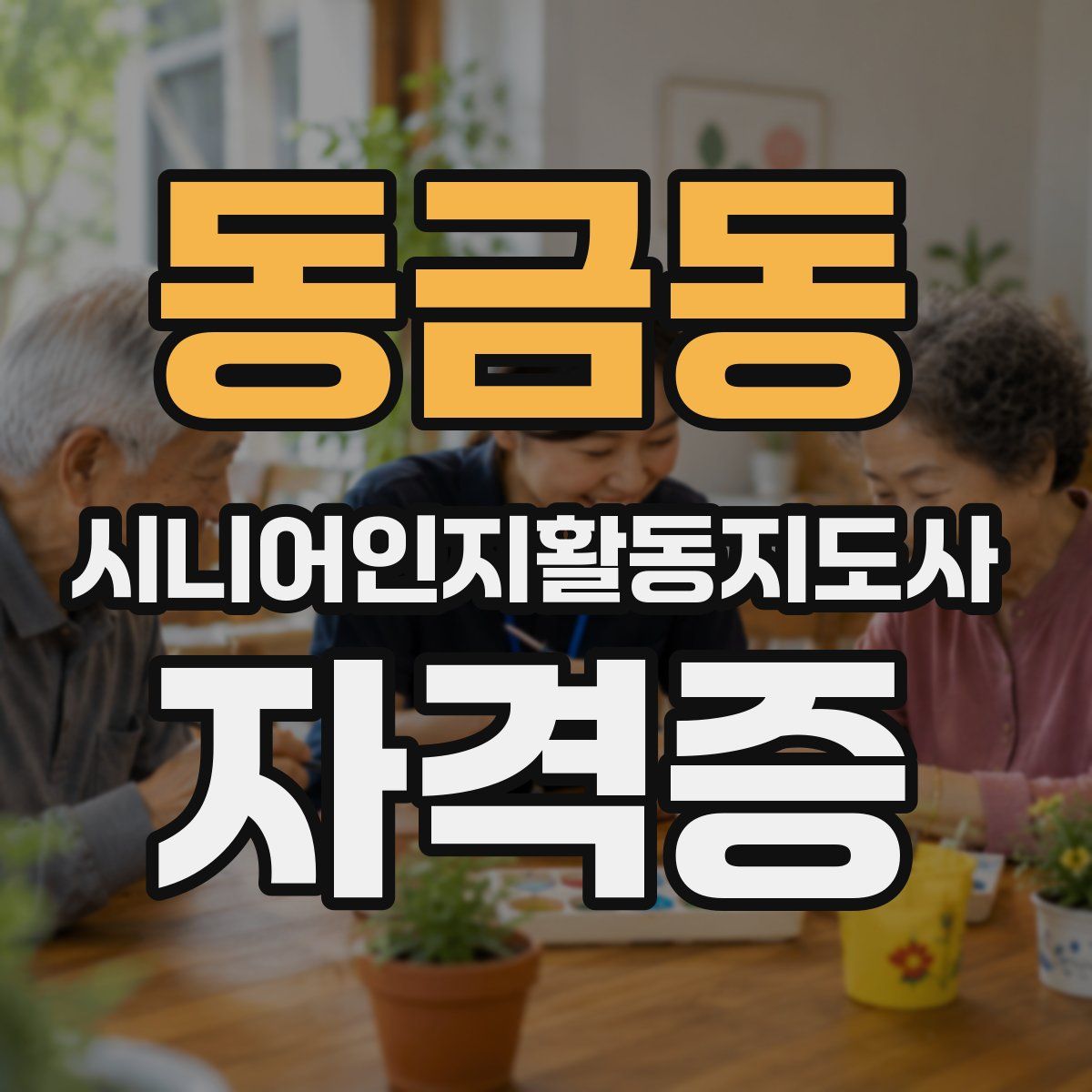 동금동 시니어인지활동지도사 자격증