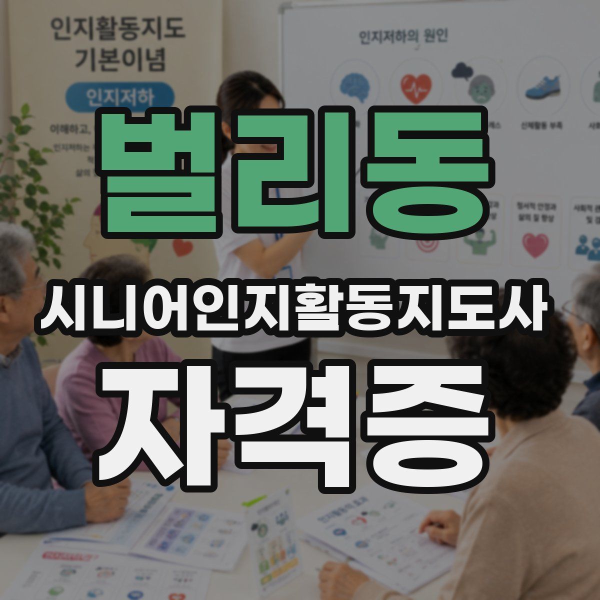 벌리동 시니어인지활동지도사 자격증