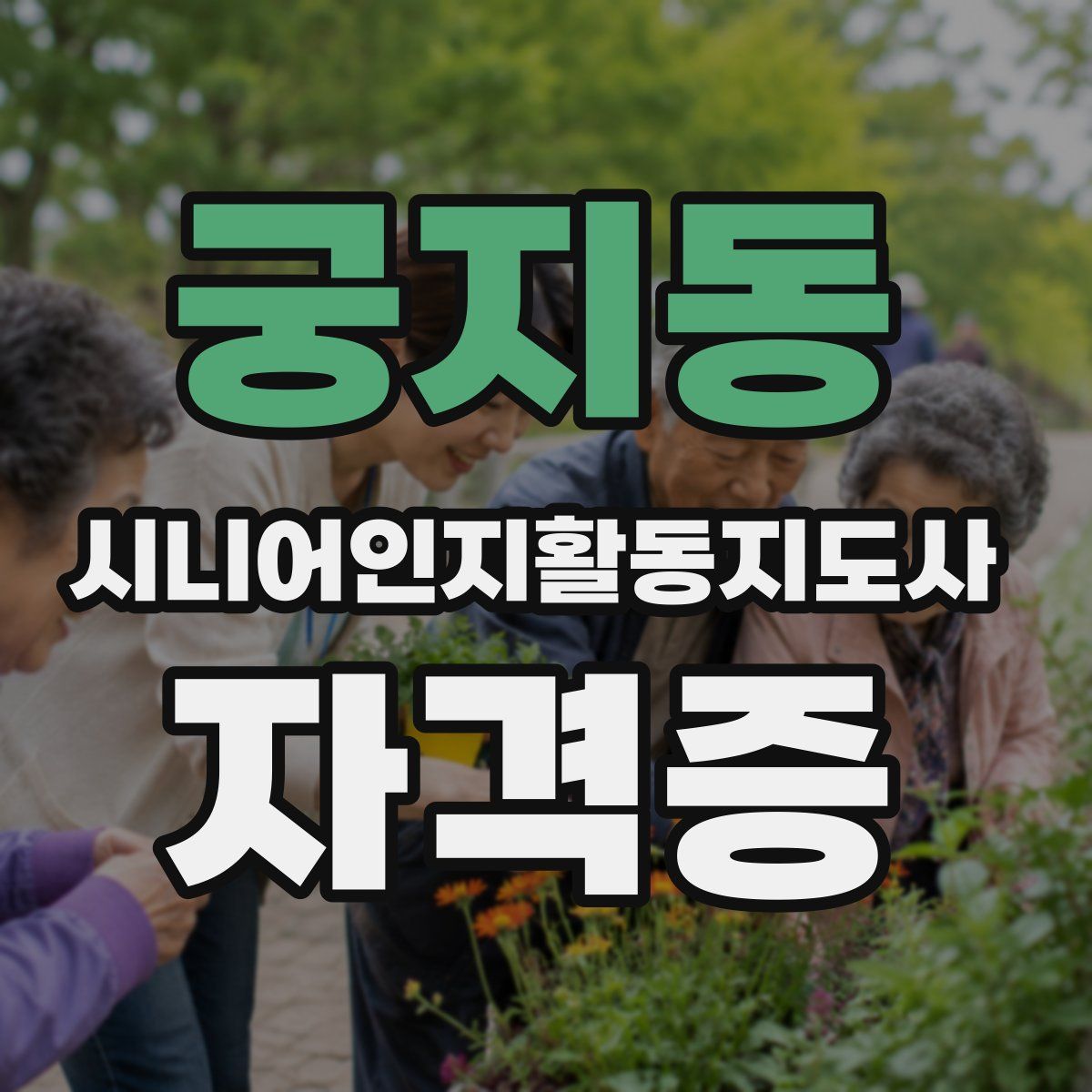 궁지동 시니어인지활동지도사 자격증