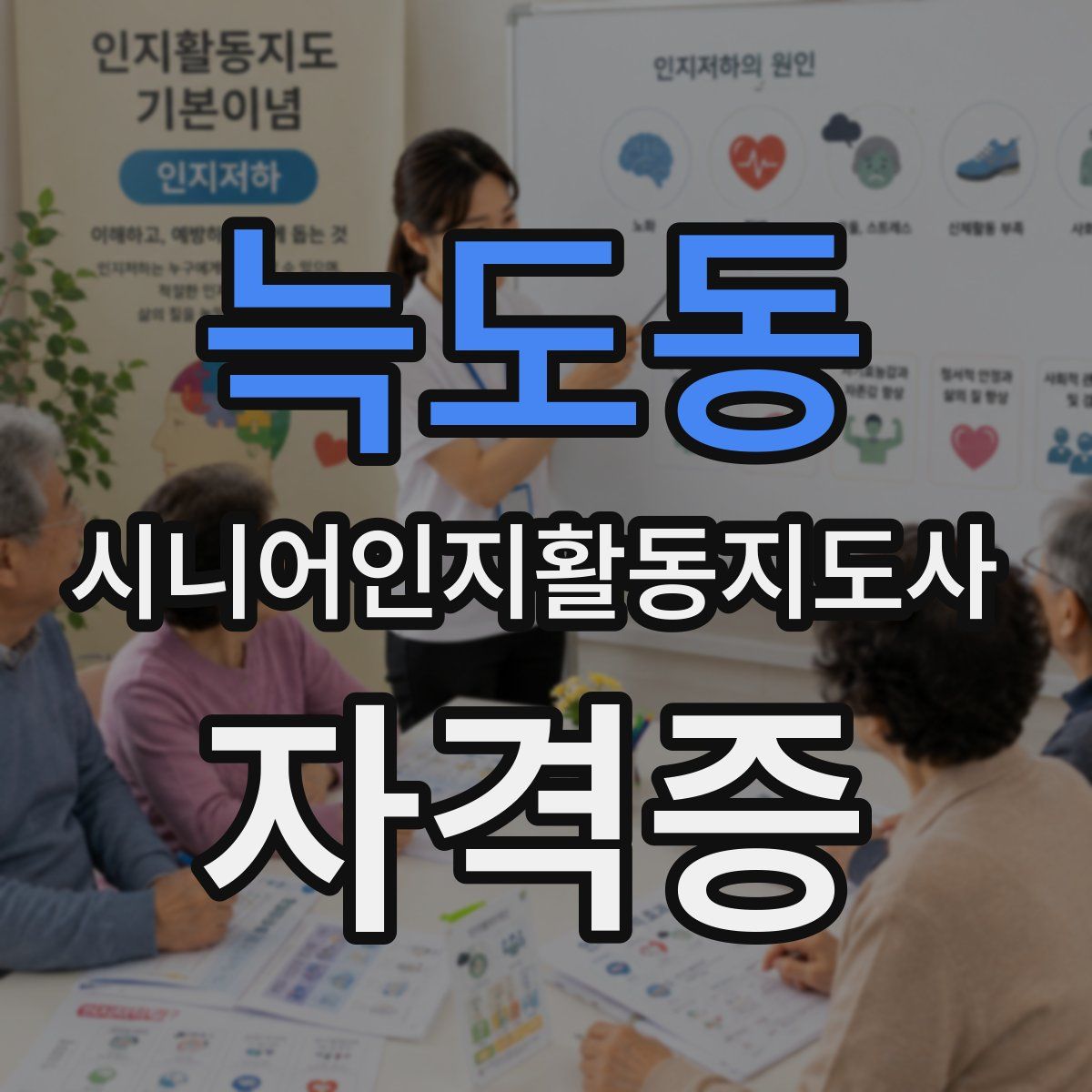 늑도동 시니어인지활동지도사 자격증