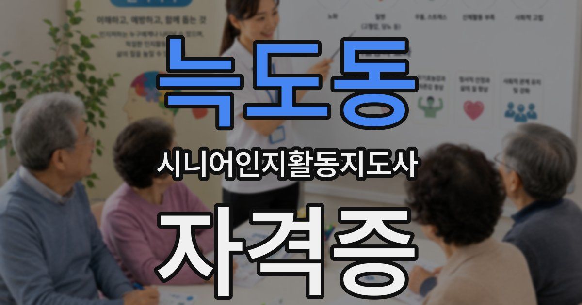 늑도동 시니어인지활동지도사 자격증